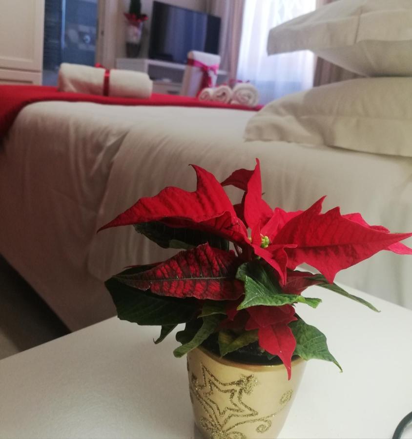 L' Albero Di Giada Bed and Breakfast Caserta Eksteriør billede